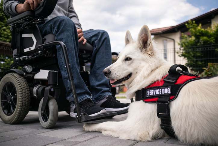 Meet the Charity - Patriot PAWS